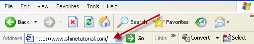 Microsoft Internet Explorer address bar
